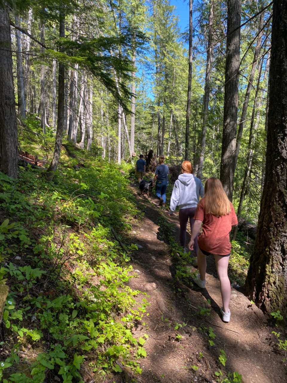 Hiking