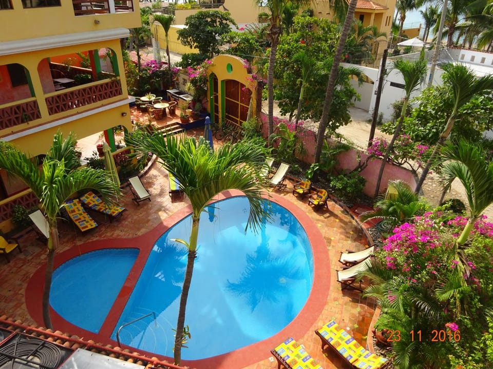 Garden, Pool view