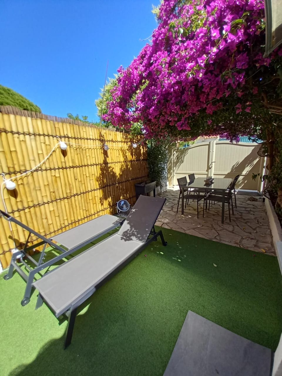 Patio, Day, sunbed