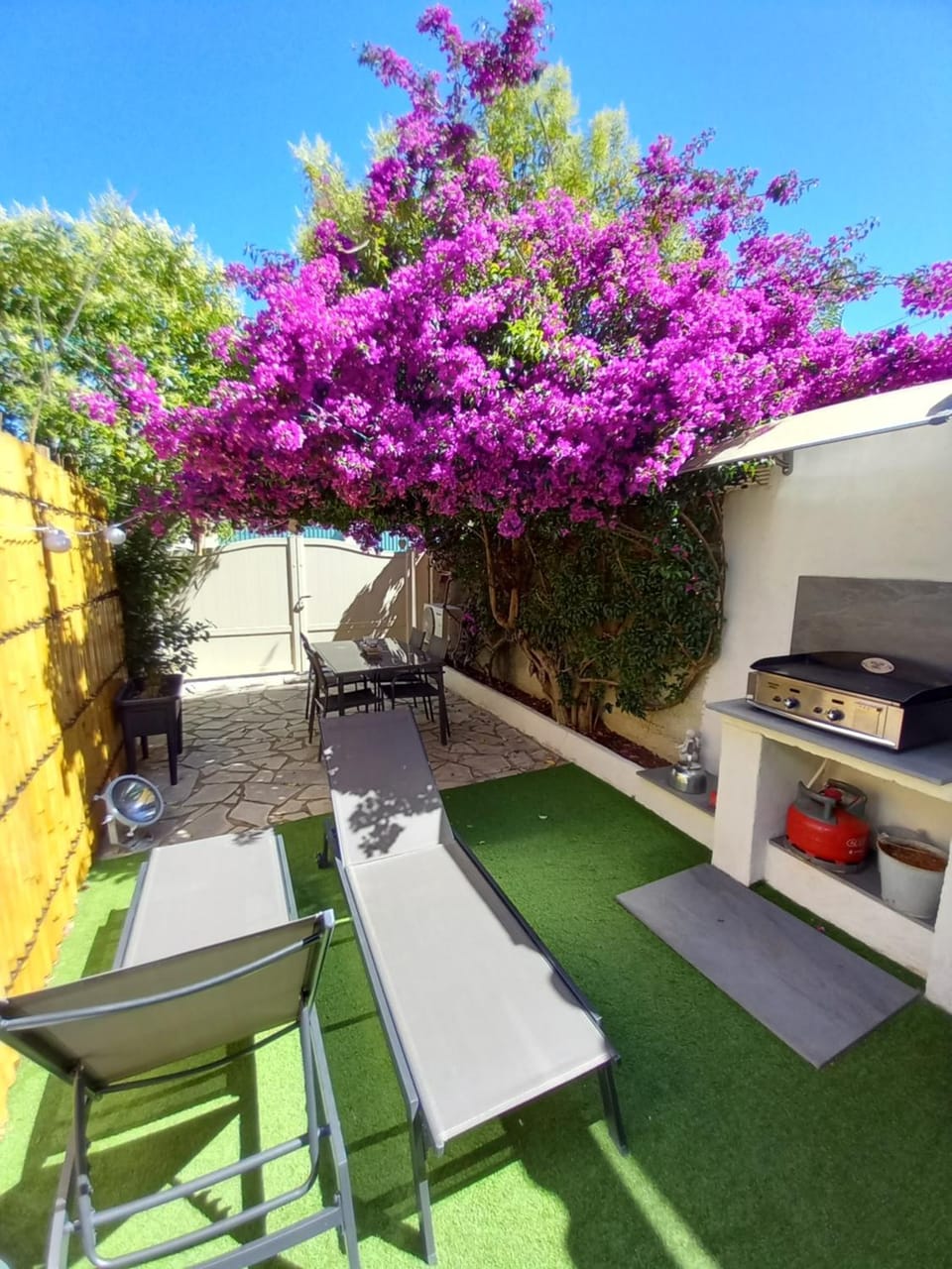 Patio, Day, Garden view, sunbed