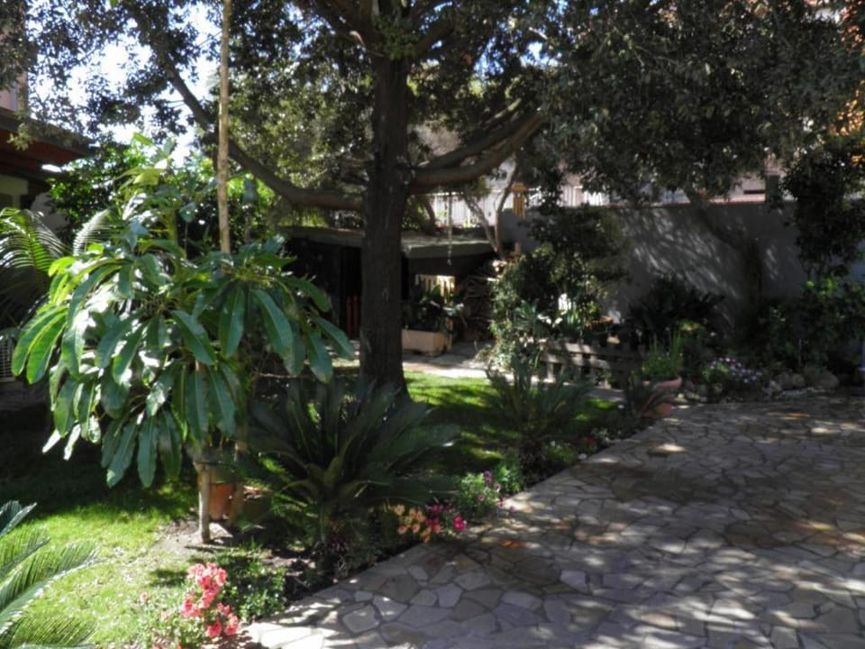 Garden view