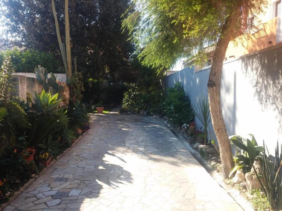 Garden view