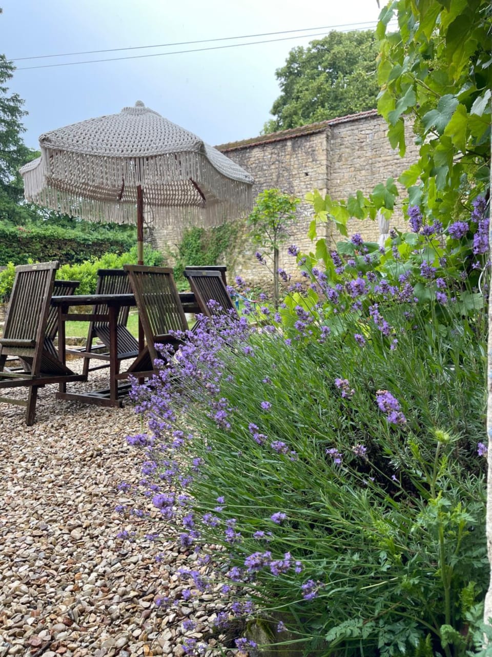 Patio, Spring