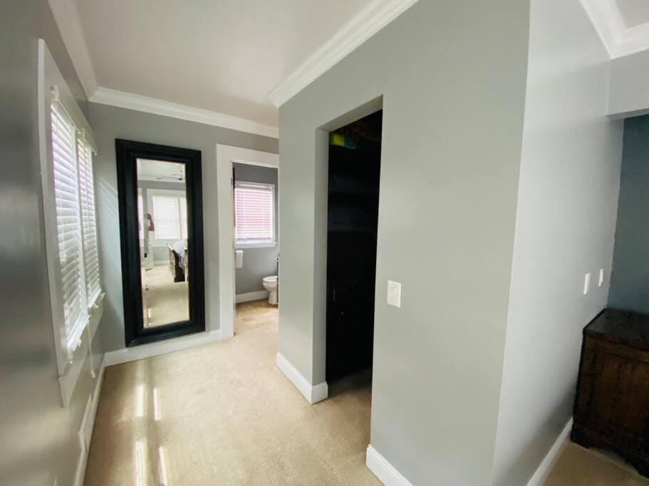 Bathroom, wardrobe