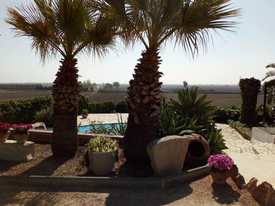 Garden, Garden view, Pool view