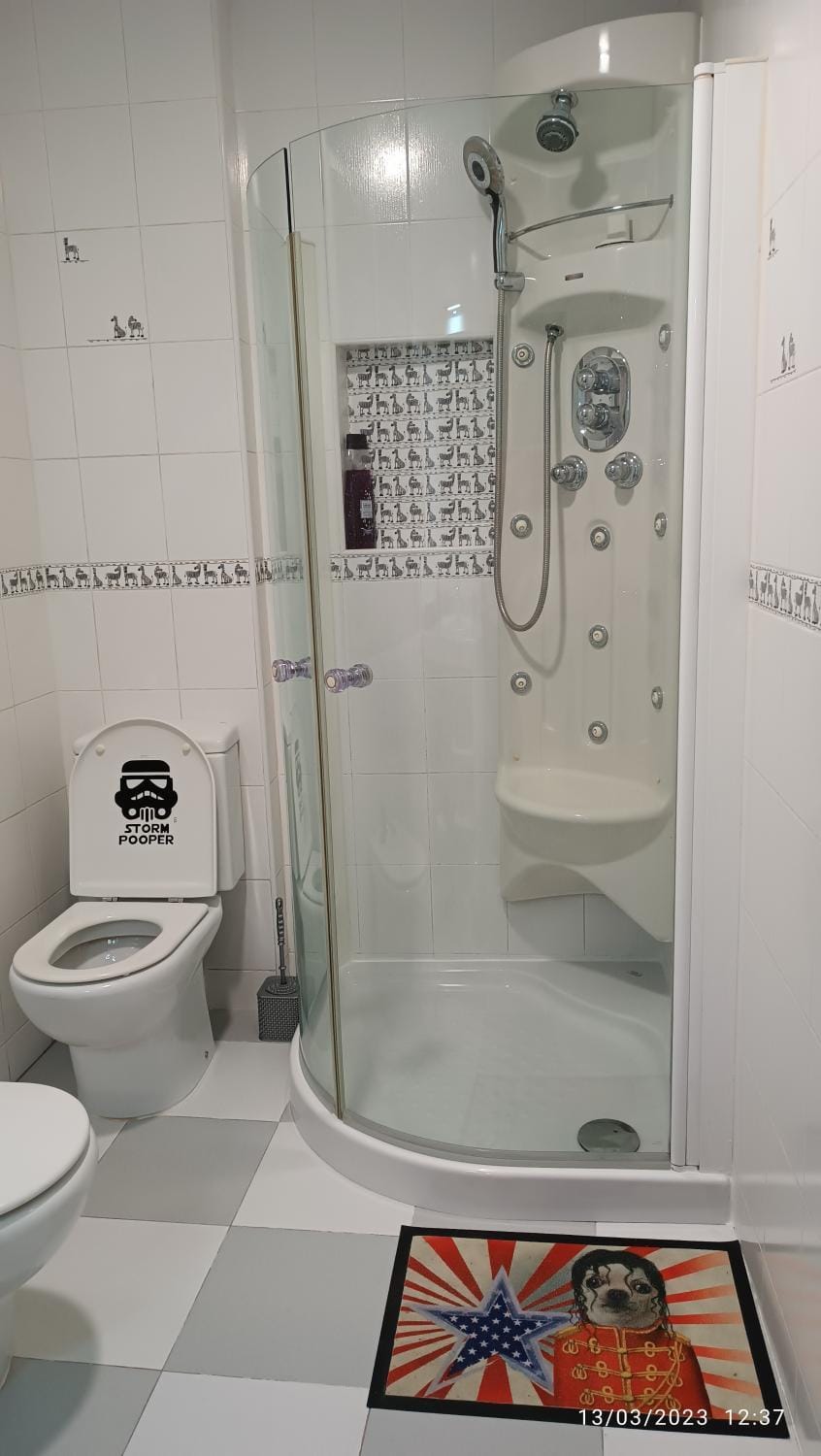 Shower, Bathroom, bidet