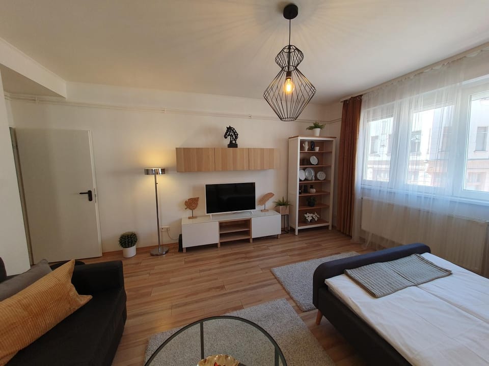 Apartman guru 3 Szeged Apartment in Szeged
