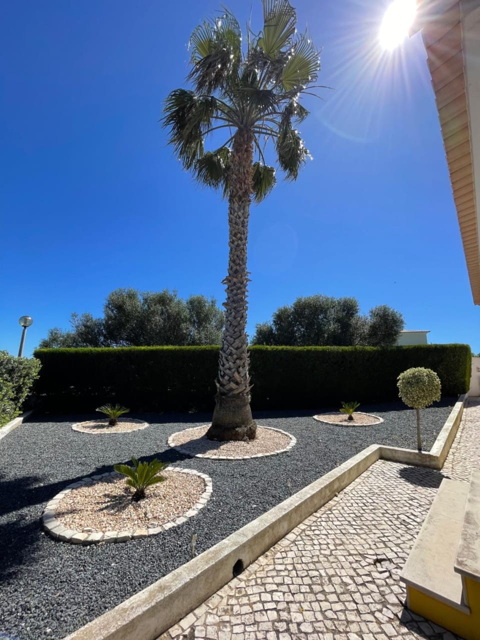 Property building, Garden view
