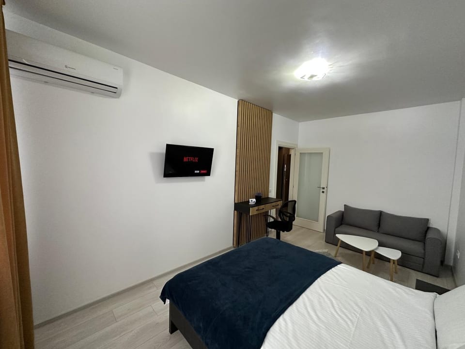 Renting Solutions Studio Apartment in Moldova