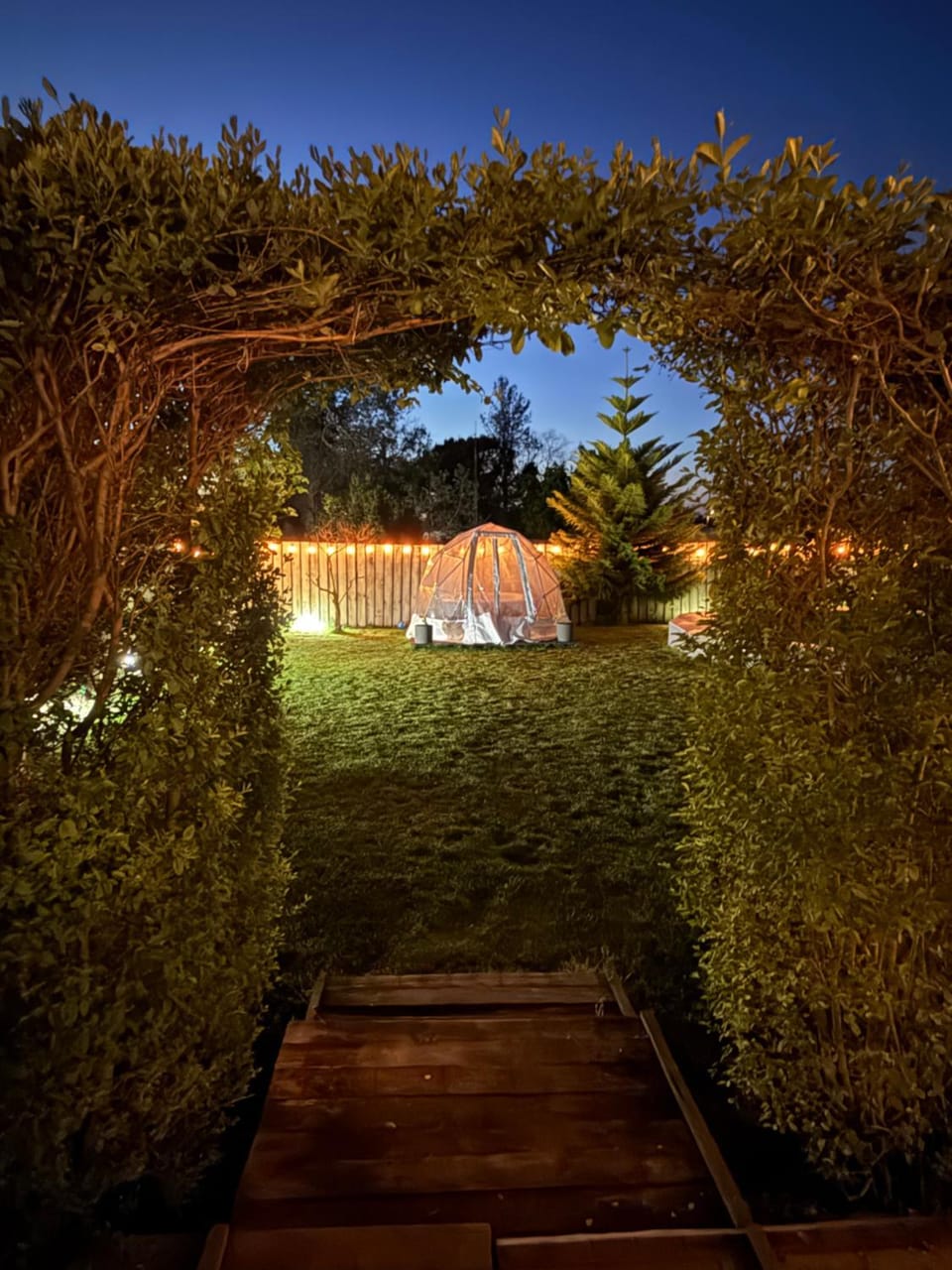 Night, Garden