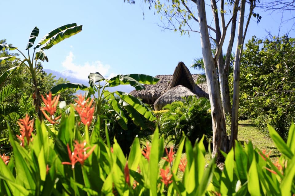 Property building, Day, Natural landscape, Garden, Garden view