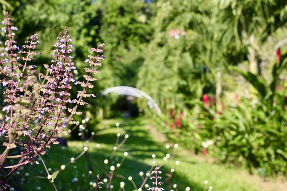 Natural landscape