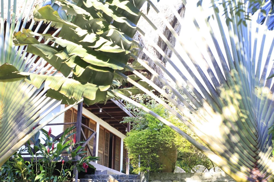 Property building, Garden view