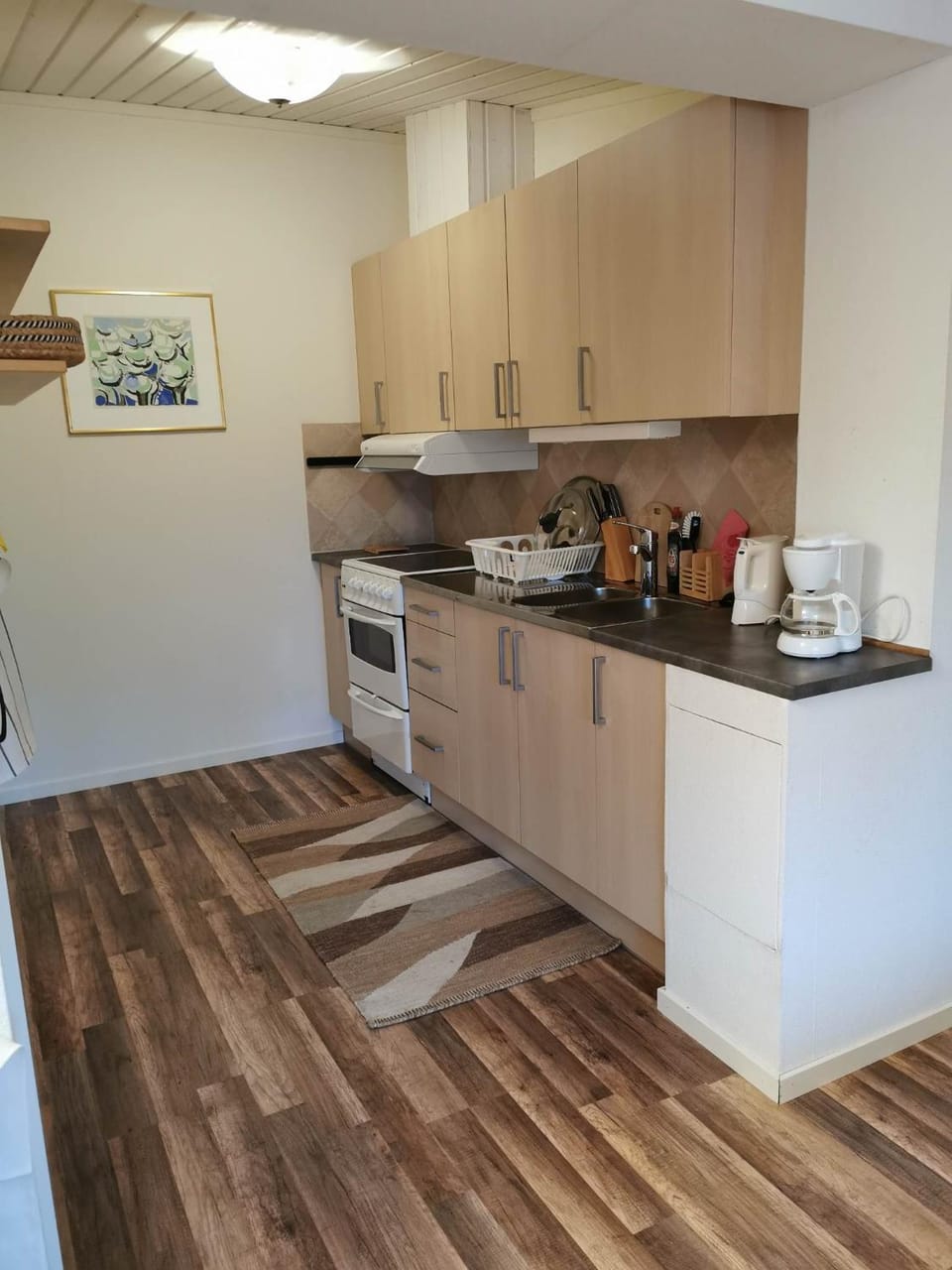 Kitchen or kitchenette, minibar, pet friendly, stove