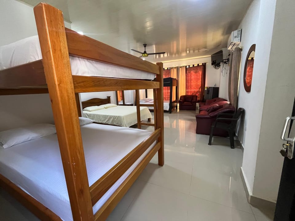 Bed, Photo of the whole room, Bedroom, bunk bed