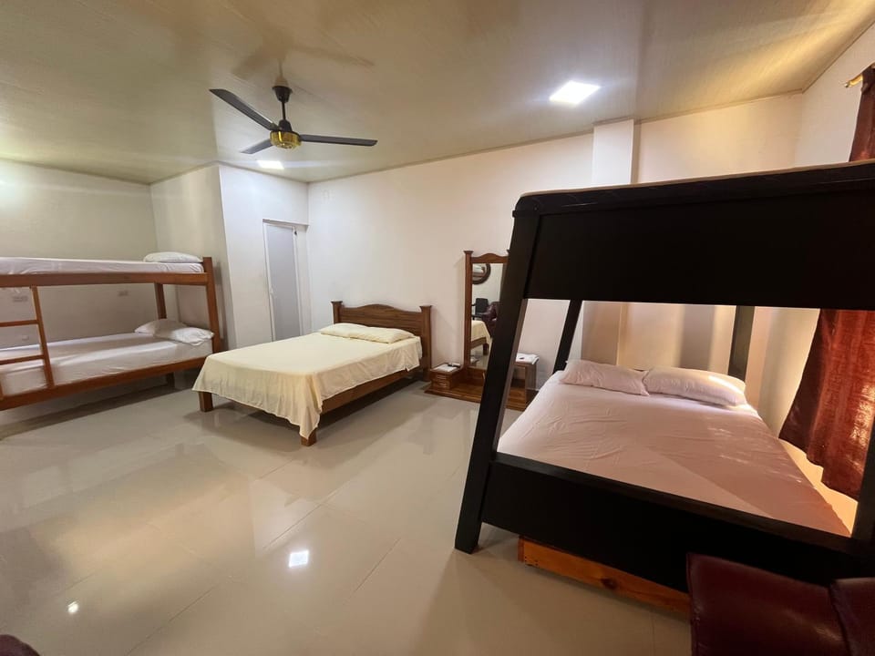 Bed, Photo of the whole room, Bedroom, bunk bed