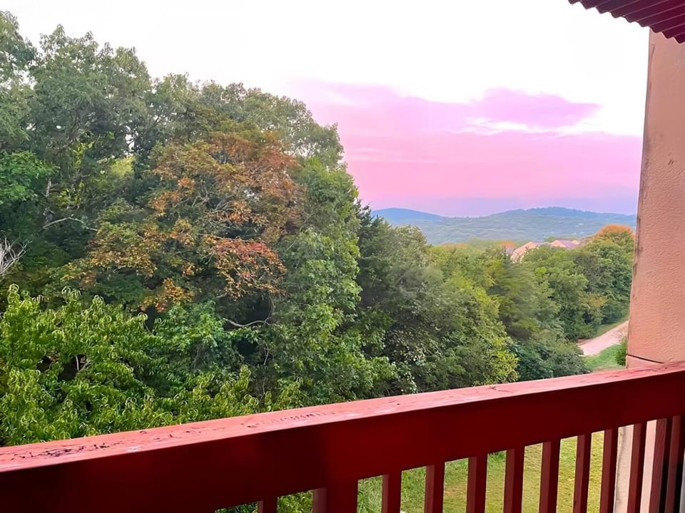 Cozy Lakeside Getaway - Outdoor Theater - Free Early Check-In- 4min to Silver Dollar City Apartment in Indian Point