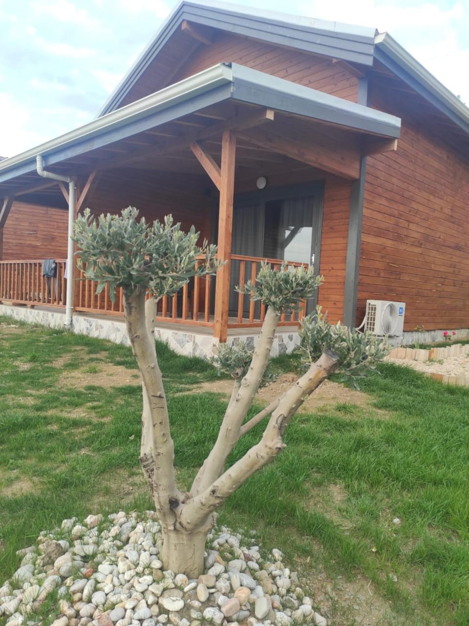 Property building, Spring, Day, Garden, Garden view
