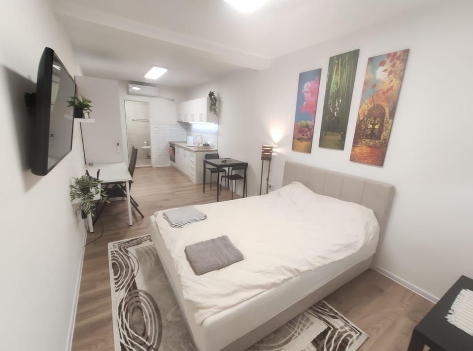 Zarkovo Apartment in Belgrade