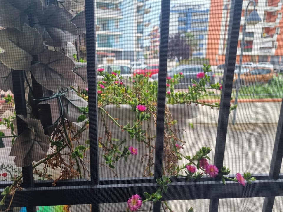 Property building, Day, View (from property/room), Balcony/Terrace, Garden view, Parking
