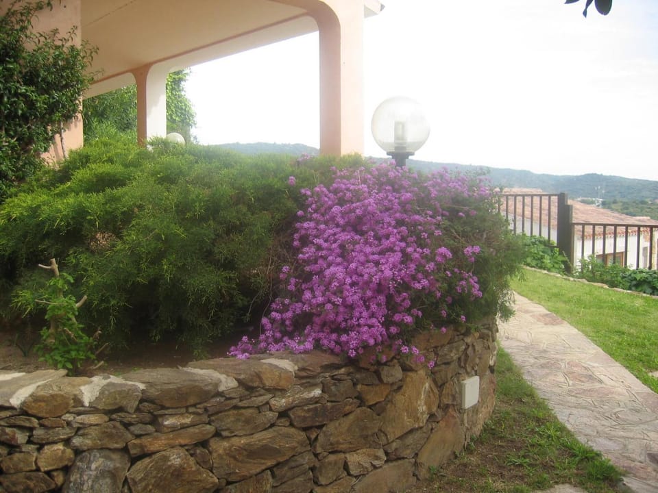 Natural landscape