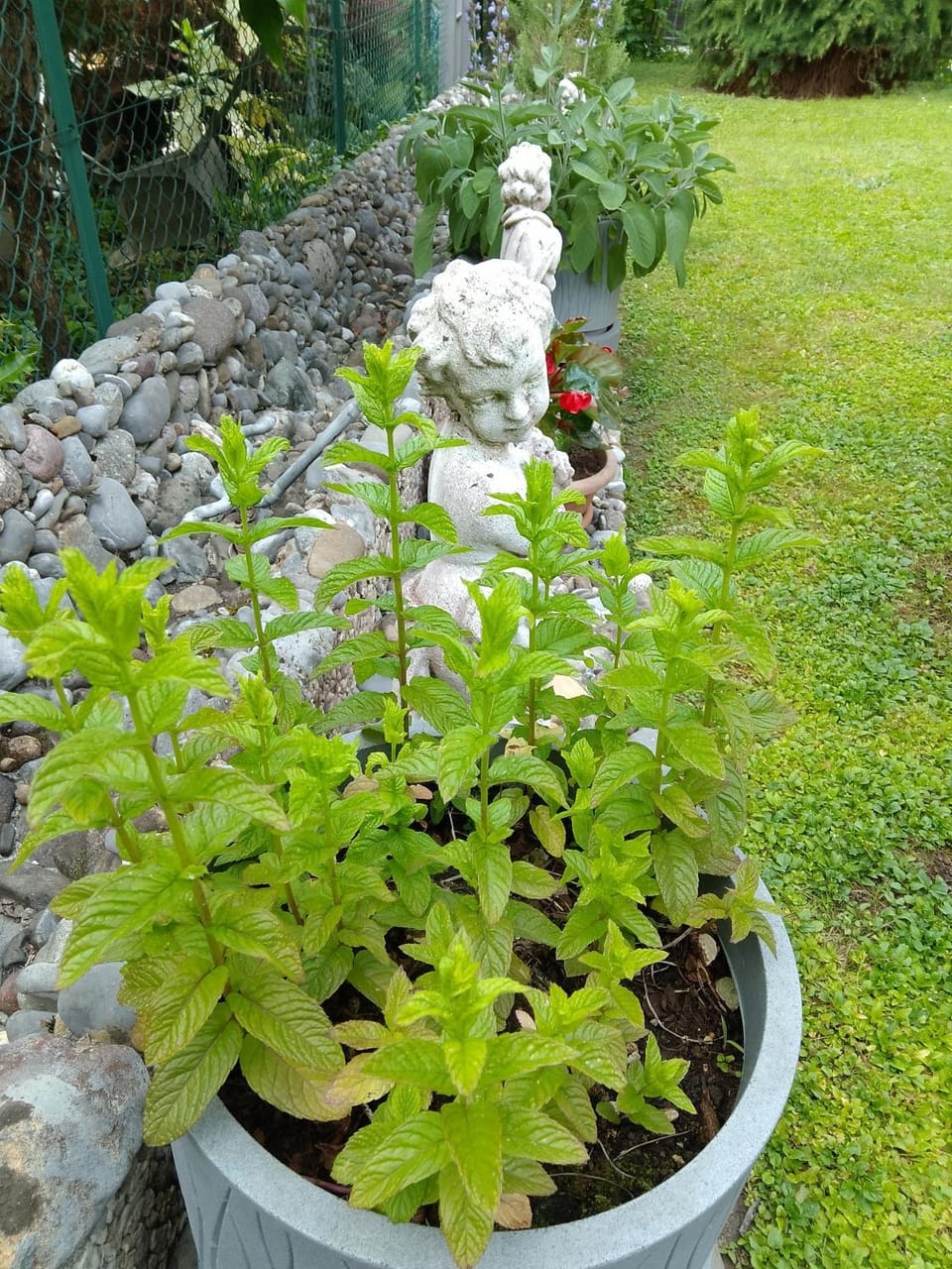 Doris' home House in Province of Brescia