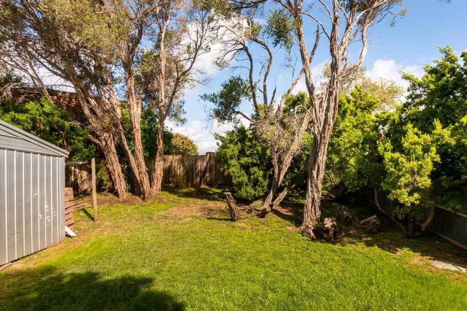 Day, Natural landscape, Garden