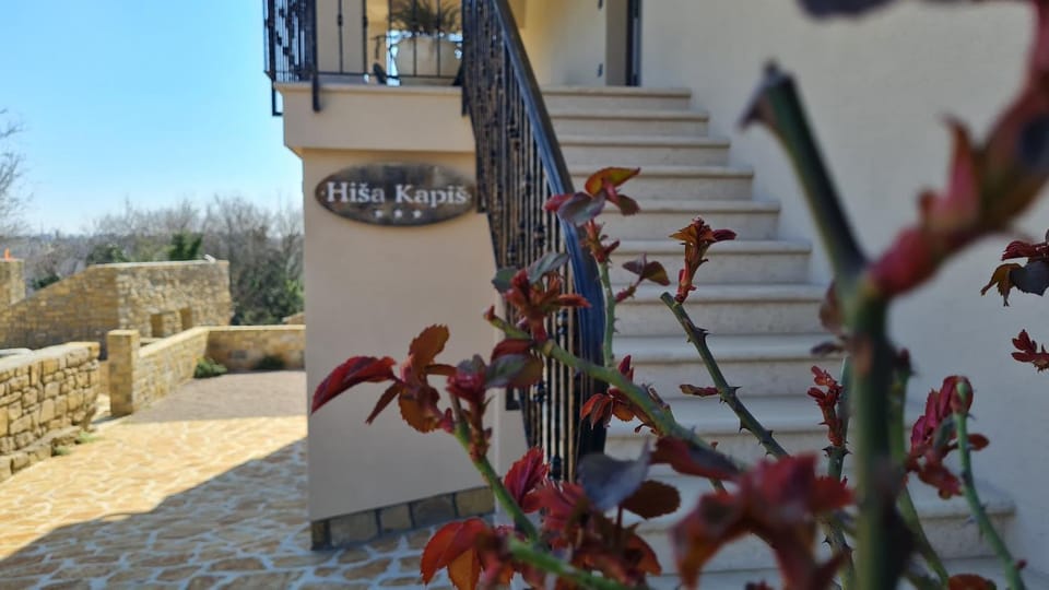 HIŠA KAPIŠ with HOT TUBE Apartment in Istria County