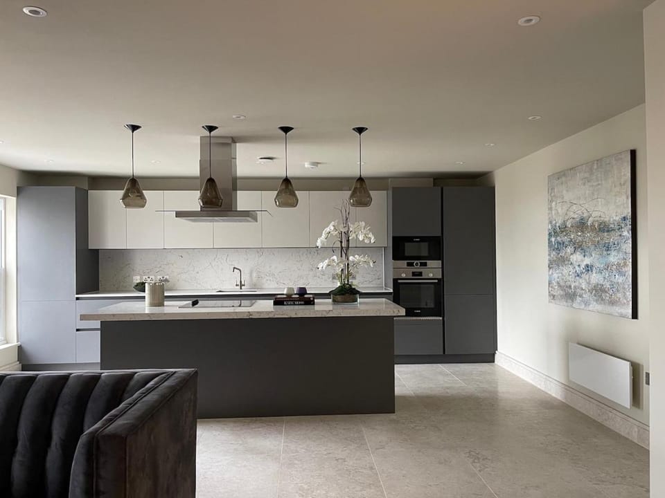 Kitchen or kitchenette, dishwasher, minibar, pet friendly, stove