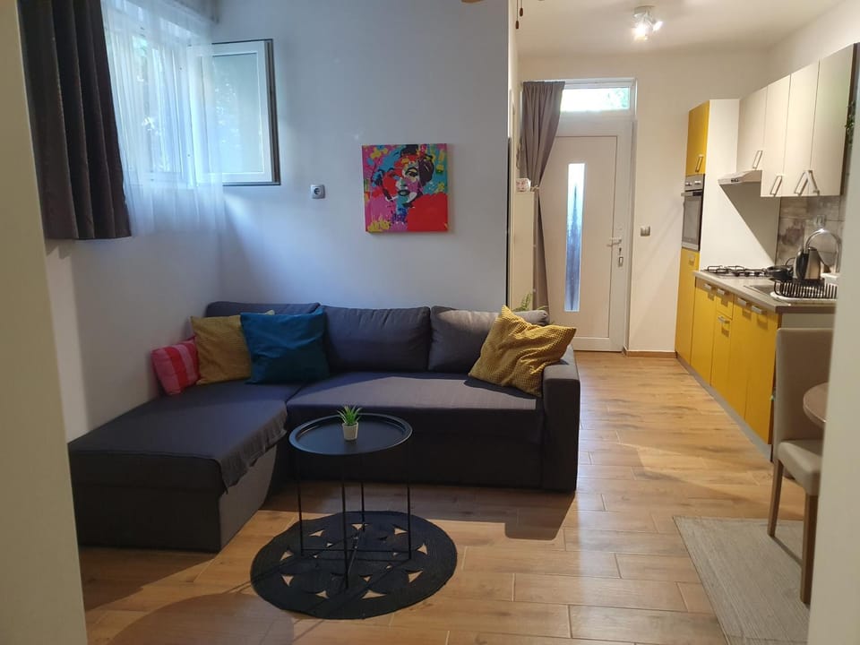 Niko apartment Apartment in Biograd na Moru