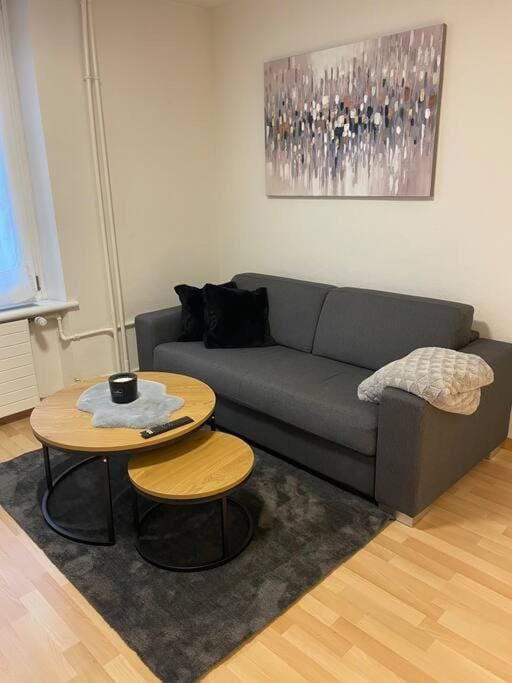Gemütliche Wohnung an bester Lage im Kreis 4 Apartment in Zurich City