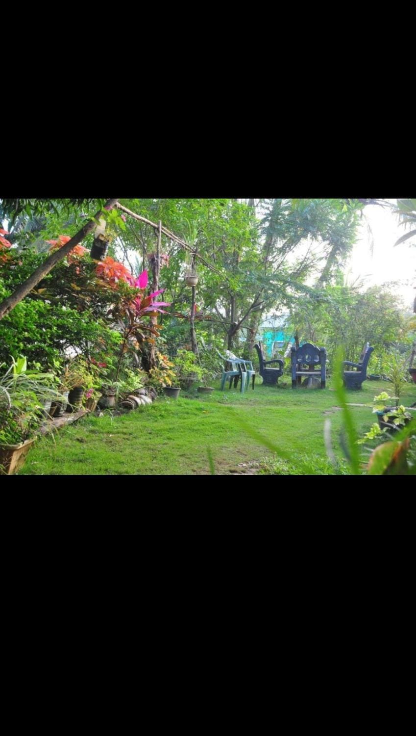 Property building, Garden view