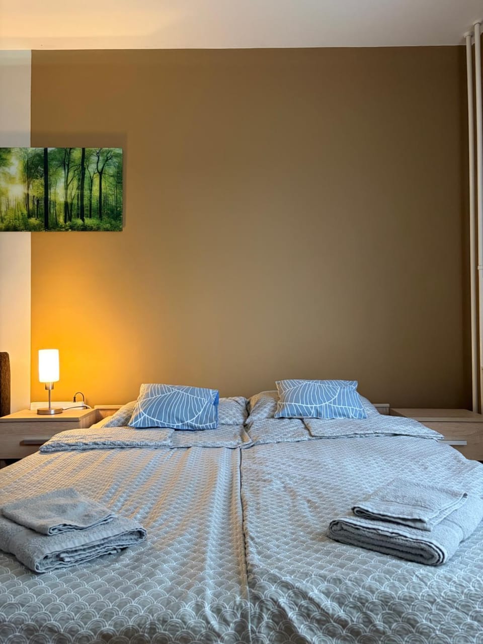 Bed, Photo of the whole room, Bedroom, towels