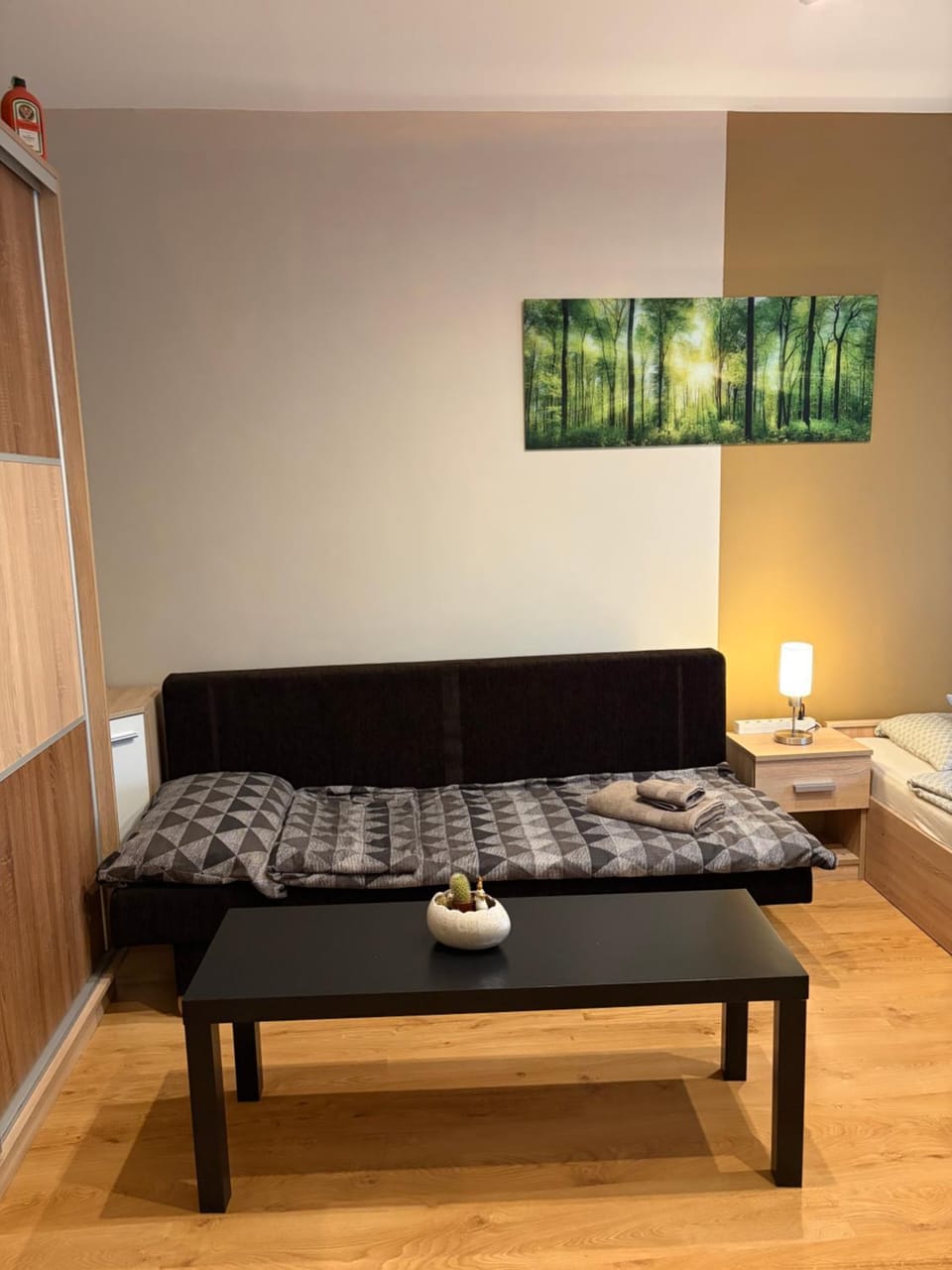 Bed, Photo of the whole room, Bedroom