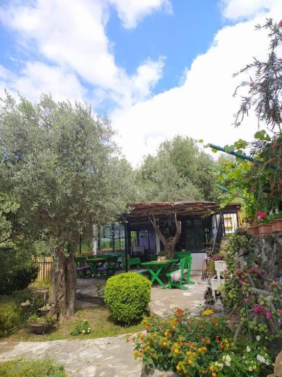 Olive trees Apartment in Budva Municipality