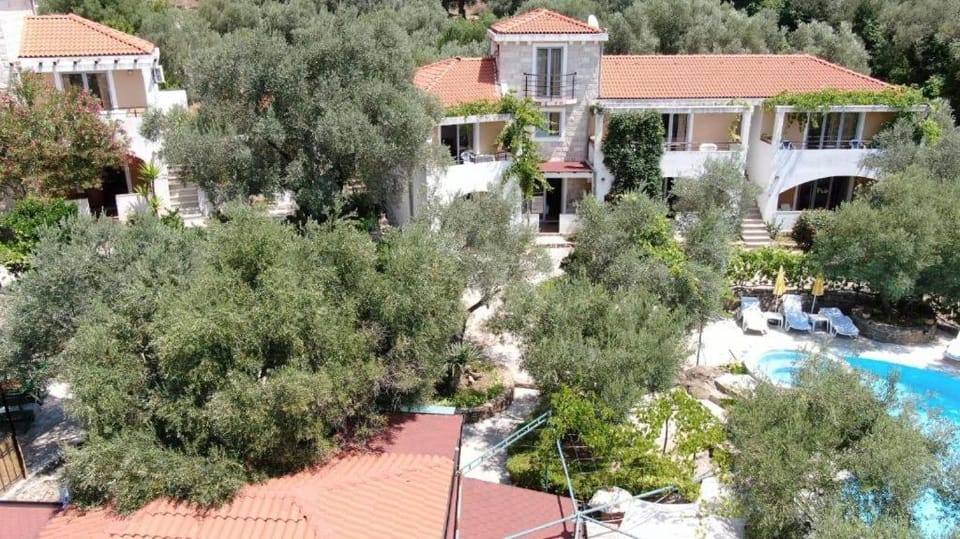 Olive trees Apartment in Budva Municipality