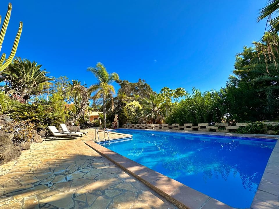 Garden, Swimming pool, sunbed