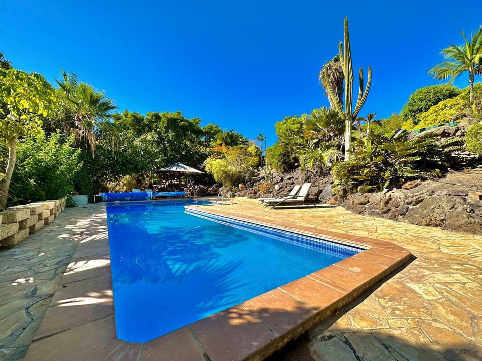 Garden, Swimming pool, sunbed