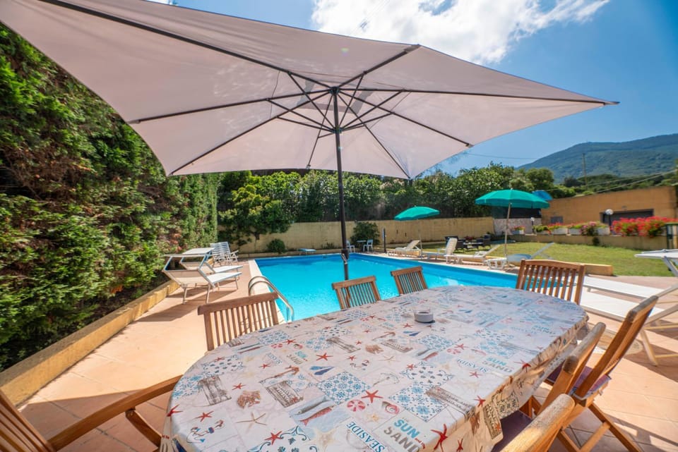 Patio, Natural landscape, Garden, Garden view, Pool view, Swimming pool, sunbed