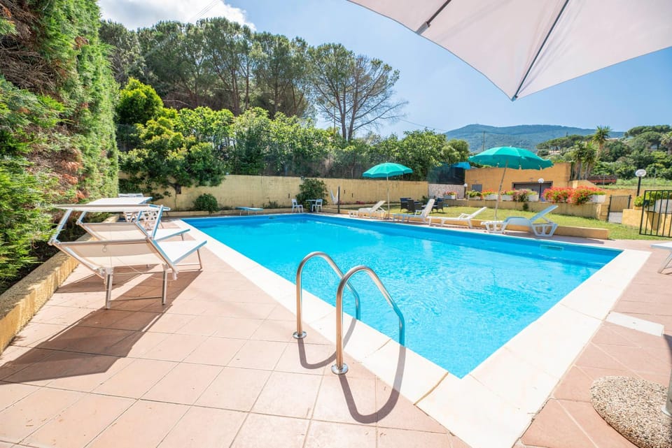 Day, Garden, Garden view, Pool view, Swimming pool, sunbed