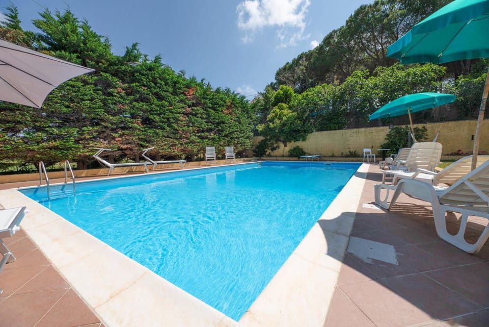 Natural landscape, Garden, Garden view, Pool view, Swimming pool, sunbed