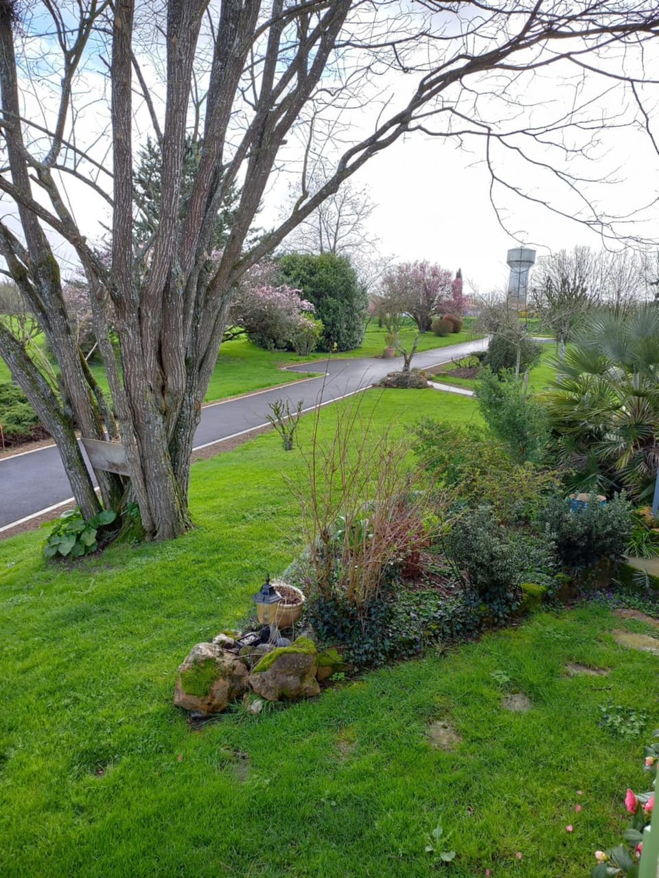 Garden view
