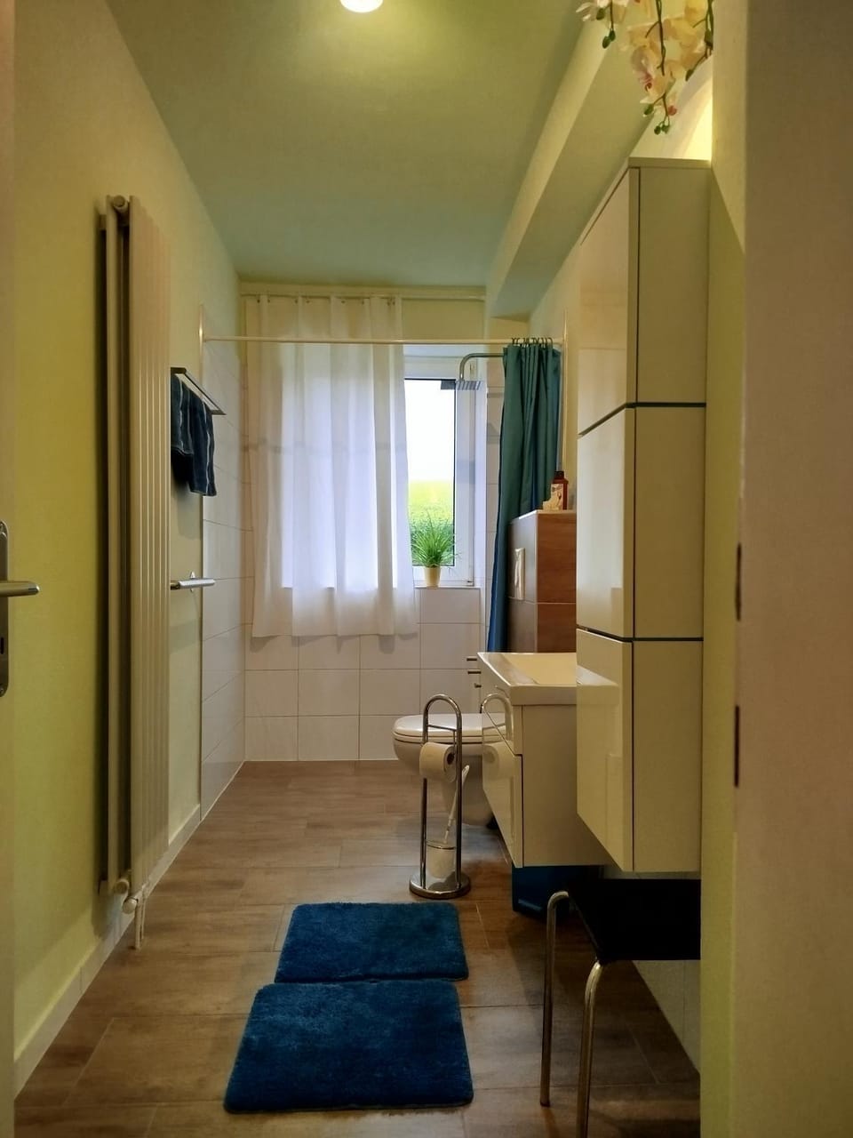 Shower, Toilet, Bathroom, Photo of the whole room, heating, towels
