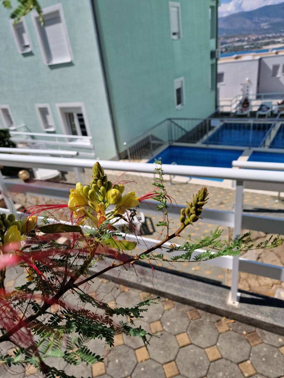 View (from property/room), Balcony/Terrace