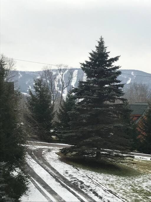Mountain view apartment, 5mins to Ski Area! Apartment in Windham