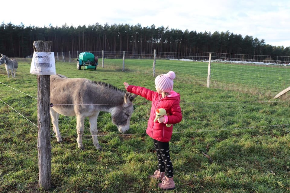 Animals, children