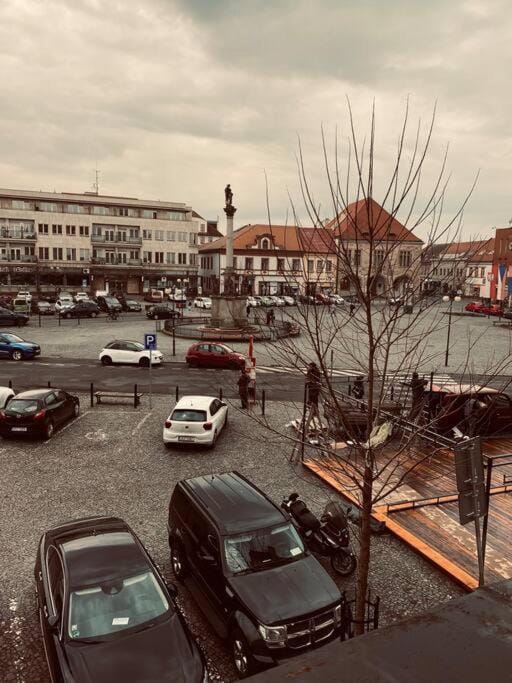 soukromý apartmán Přemysl Apartment in Czechia