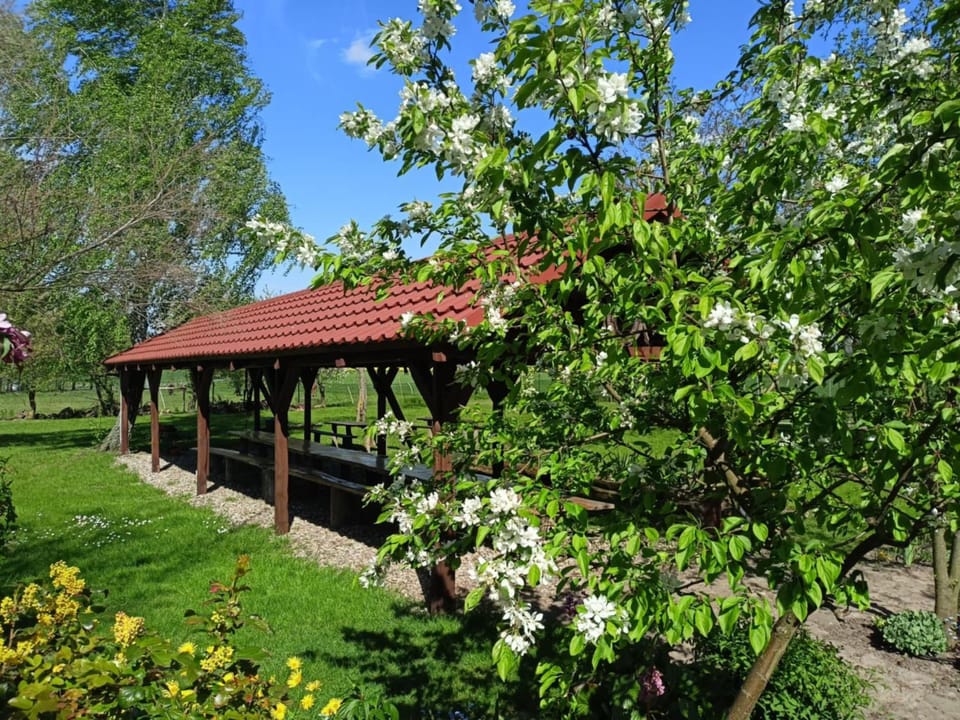 Property building, Natural landscape, Garden, Garden view