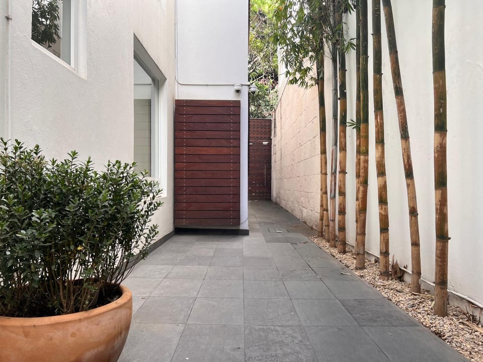 Day, Garden, Garden view