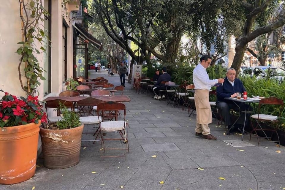 Condesa Residence Amsterdam 202 Bright 1BR 1BA On Amsterdam Av Apartment in Mexico City